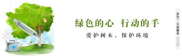 笼鸟清洗知识介绍