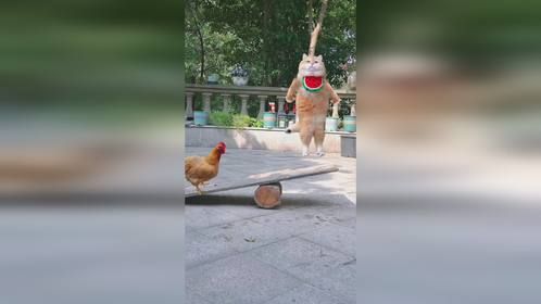 无敌小小豆