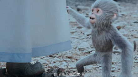 诛仙青云志小灰喝了什么神水 三眼灵猴小灰身世背景揭秘