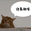 https://p0.meituan.net/userheadpicbackend/ad4b1a6940c5cf6611590a56fa580494167701.jpg%40120w_120h_1e_1c_1l%7Cwatermark%3D0