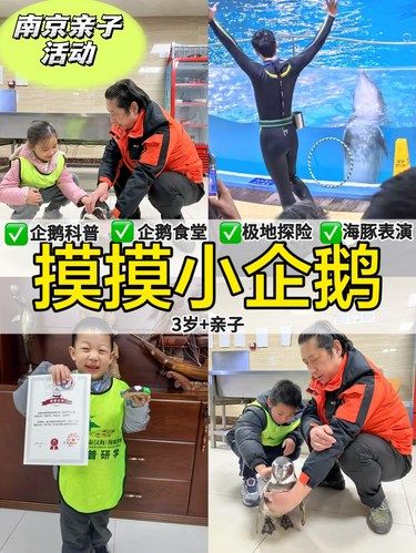 南京遛娃·撸企鹅最后一期，就在本周，招募