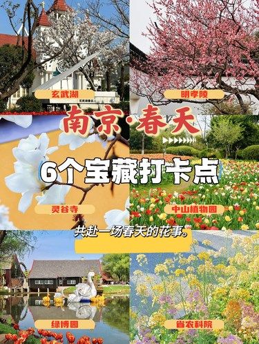 南京春日的这6个宝藏景点，你都去过哪几个？