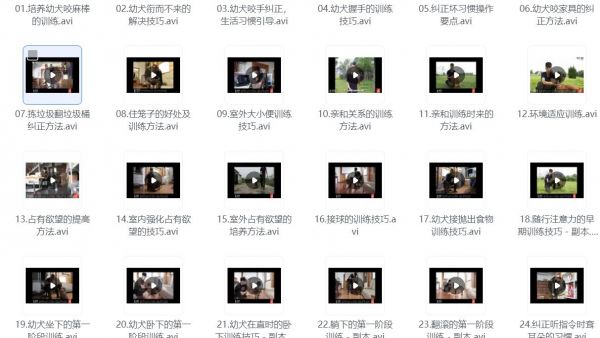 专业驯狗师亲授 新手零基础宠物训练犬课程 原价18888