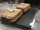 喜乐宠物托运广州专业的宠物搬运专家