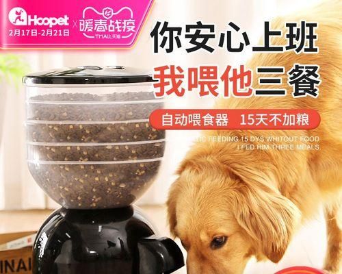 狗粮太贵大家都喂什么？寻找经济实惠的替代品有哪些？