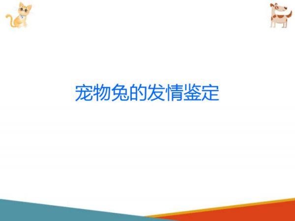 宠物兔饲养宠物兔繁育PPT课件