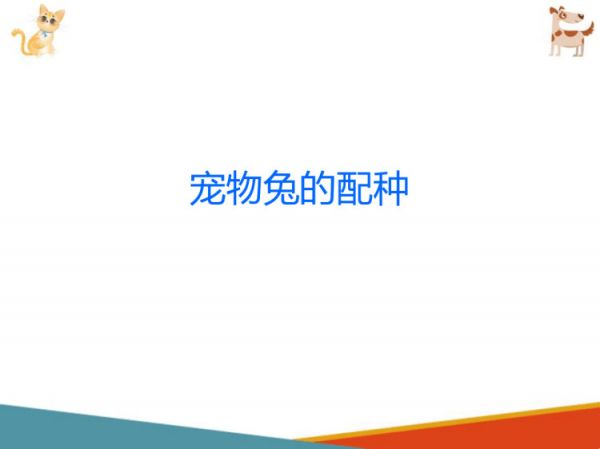 宠物兔饲养宠物兔繁育PPT课件