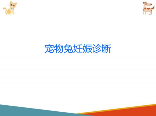 宠物兔饲养宠物兔繁育PPT课件