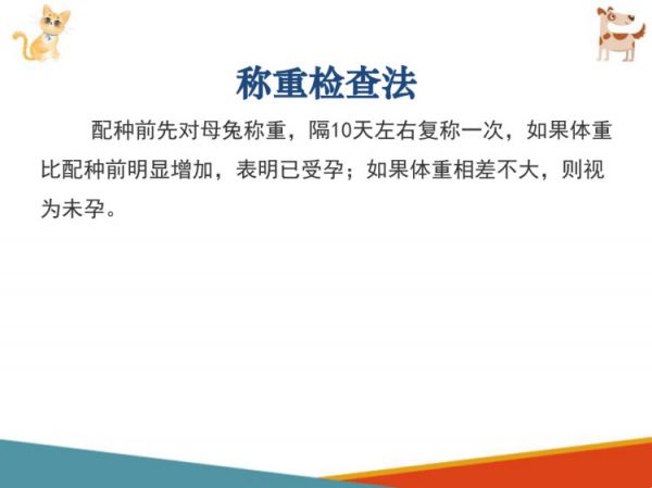 宠物兔饲养宠物兔繁育PPT课件