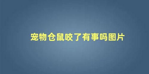 宠物仓鼠咬了有事吗图片
