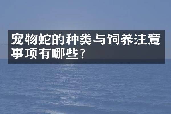 宠物蛇的种类与饲养注意事项有哪些？
