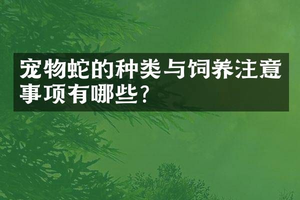 宠物蛇的种类与饲养注意事项有哪些？