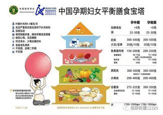 宠物饮食：健康美味两不误