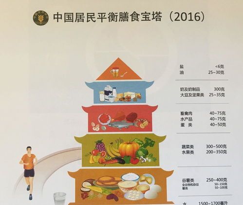 宠物健康：关注饮食与精神状态