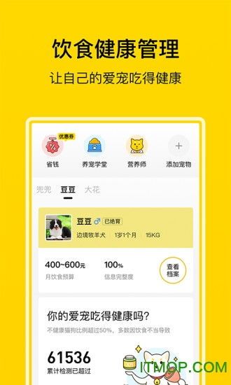“小猫暴食记录:关注宠物饮食健康与控制”