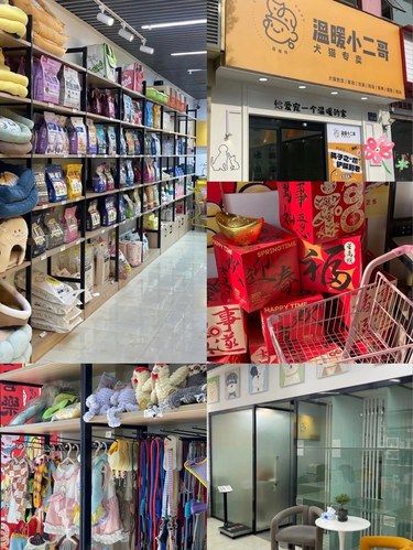 温州的铲屎官们集合 这家店我服了