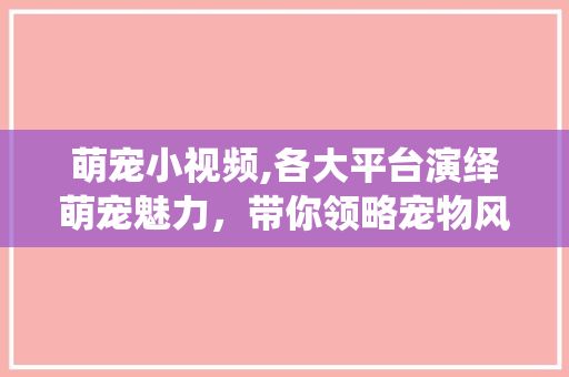 萌宠小视频,各大平台演绎萌宠魅力，带你领略宠物风采
