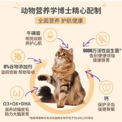 WELLNESS 宠物健康 core幼猫粮高蛋白火鸡肉进口无谷增肥发腮营养