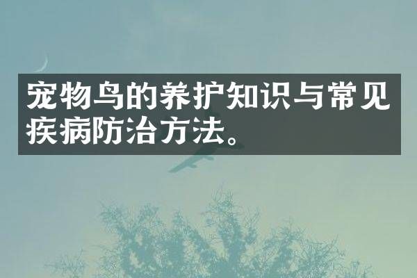 宠物鸟的养护知识与常见疾病防治方法。