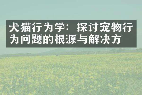 犬猫行为学：探讨宠物行为问题的根源与解决方案