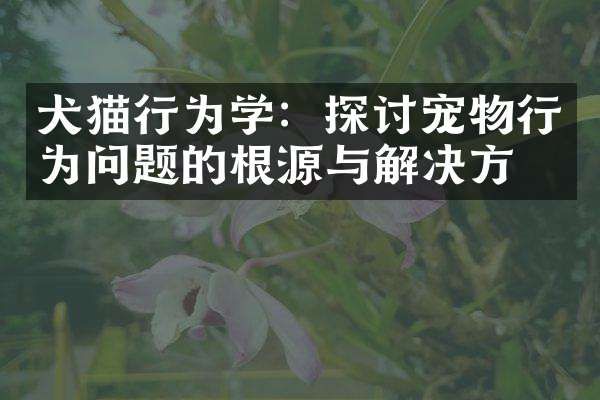 犬猫行为学：探讨宠物行为问题的根源与解决方案