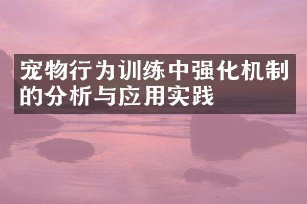 宠物行为训练中强化机制的分析与应用实践