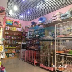 “宠物店有售各类鸟食哦！”