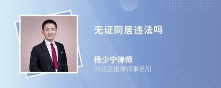 无证同居违法吗