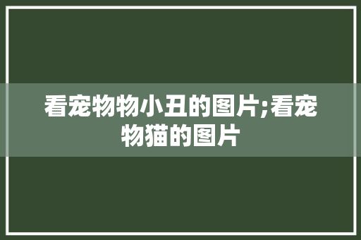 看宠物物小丑的图片;看宠物猫的图片