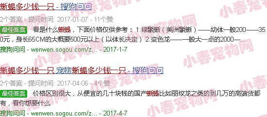 最贵蜥蜴多少钱一只