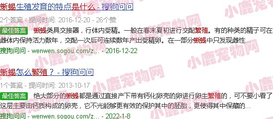 蜥蜴的繁殖器是什么样子