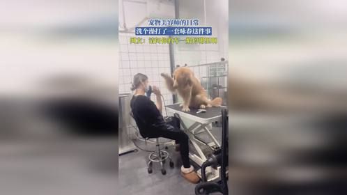 宠物美容师的日常，洗个澡打了一套咏春这件事，网友：请问你的车一般停哪里啊。