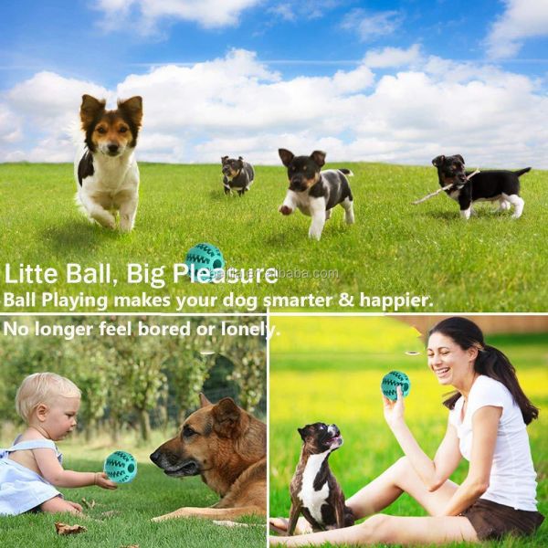 Factory Wholesale Interactive Cute Durable Catnip Rubber Pet Bite Cat Dog Chew Toy