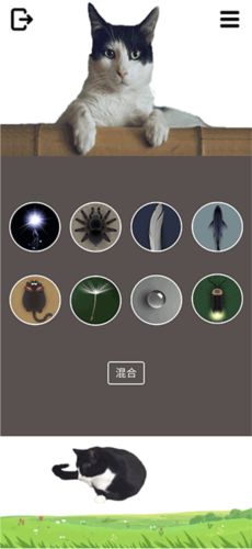 猫狗玩具模拟器图片3