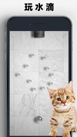猫狗玩具模拟器图片6