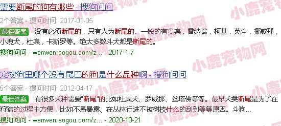 断尾的狗狗都有什么品种