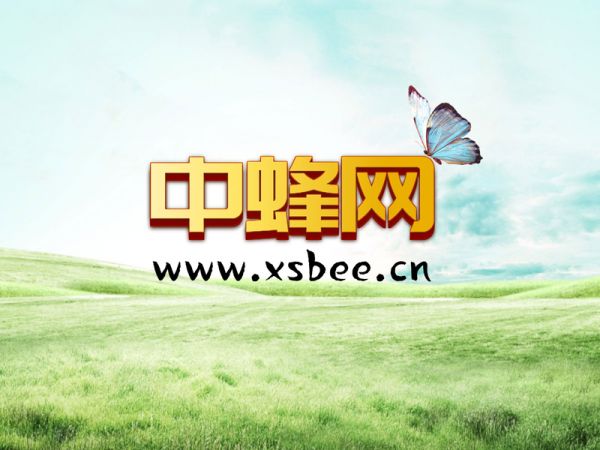 常见的可以养的昆虫 哪些昆虫可以作为宠物饲养?
