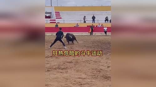 狂热危险的斗牛运动