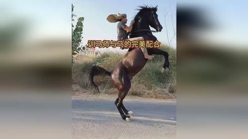 太精彩了，训马师与马的完美配合