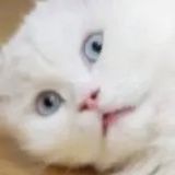 想不到吧