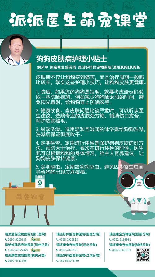 200709狗狗皮肤病护理小贴士.jpg