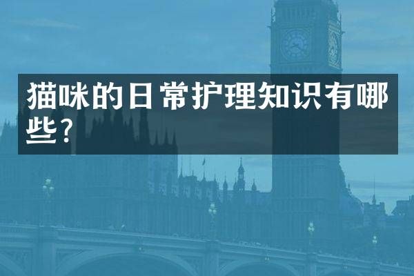 猫咪的日常护理知识有哪些？