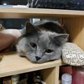 https://p0.meituan.net/userheadpicbackend/8c8133015f2daacd14b36f2837858a00726074.jpg%40120w_120h_1e_1c_1l%7Cwatermark%3D0