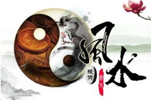 十二星座最适合养的宠物是什么,十二星座最适合养的宠物是什么动物