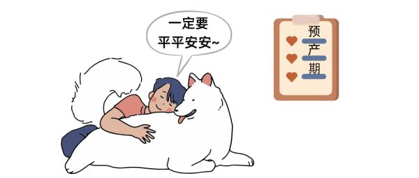 怎么判断狗狗难产了？