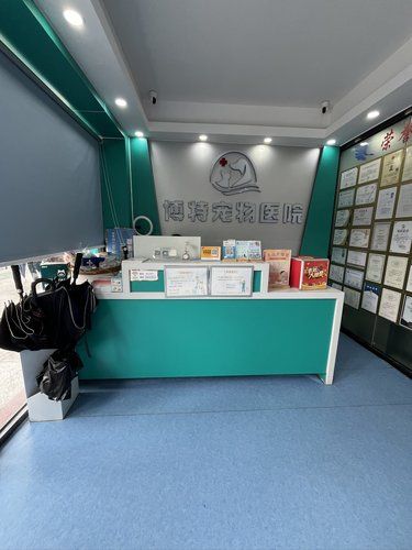 宠物绝育的安心之选