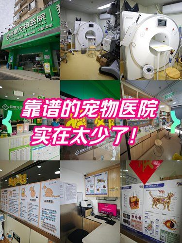 靠谱的宠物医院实在太少了！