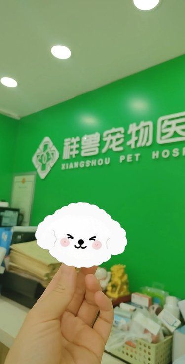 狗狗眼睛睁不开