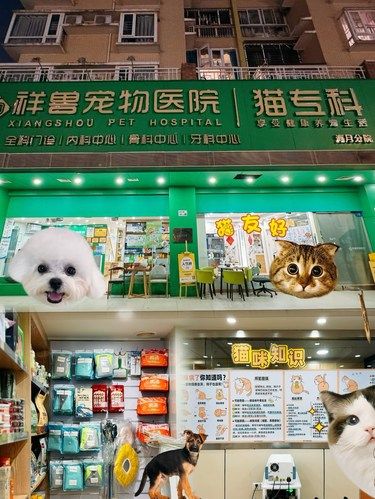 毛孩子生病不用慌❗️祥兽守护它健康