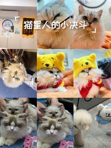 给我找到了zui良心的萌宠诊所❗尊的不错